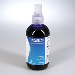 CICATRIZOL X 250 ML