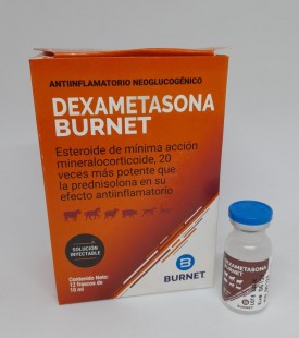 DEXAMETASONA BURNET X 10ML
