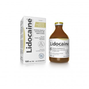 LIDOCAINE X 100 ML