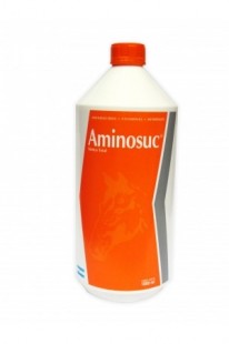 AMINOSUC JARABE X 1000 ML