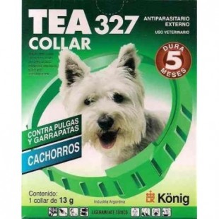 TEA COLLAR PERRO CACHORRO