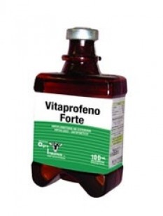 VITAPROFENO FORTE X 100 ML