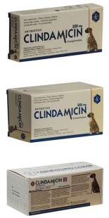 CLINDAMICIN 220 MG X 10 COMP