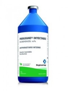 PARAXANE 10% X 1000 ML