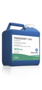 PARAXANE 10% ORAL X 5LTS