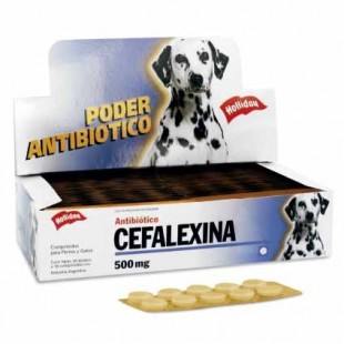 CEFALEXINA 500 MG X TABLETA (10 COMP)