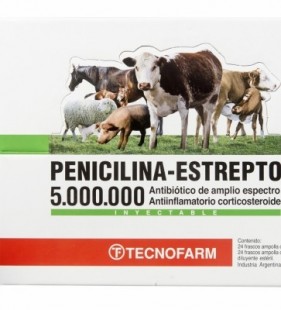 PENICILINA ESTREPTO 5M X UNI