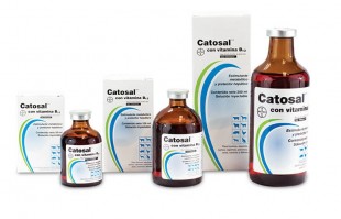 CATOSAL B12 X 100 ML