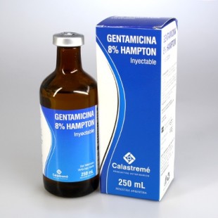 GENTAMICINA 8% X 250 ML