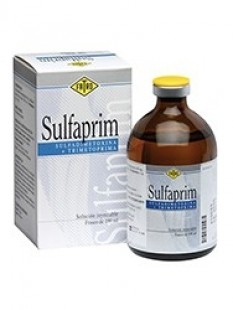 SULFAPRIM X 100 ML