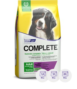 COMPLETE PERRO ADULTO SAFETY X KG