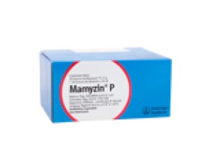 MAMYZIN P 10 FRASCOS X 10 ML
