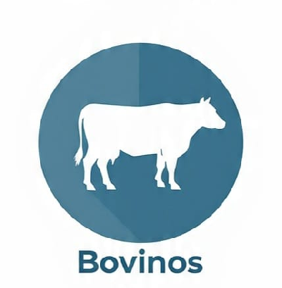 Bovinos