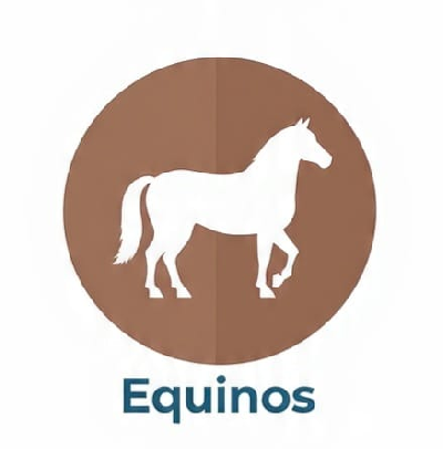 Equinos